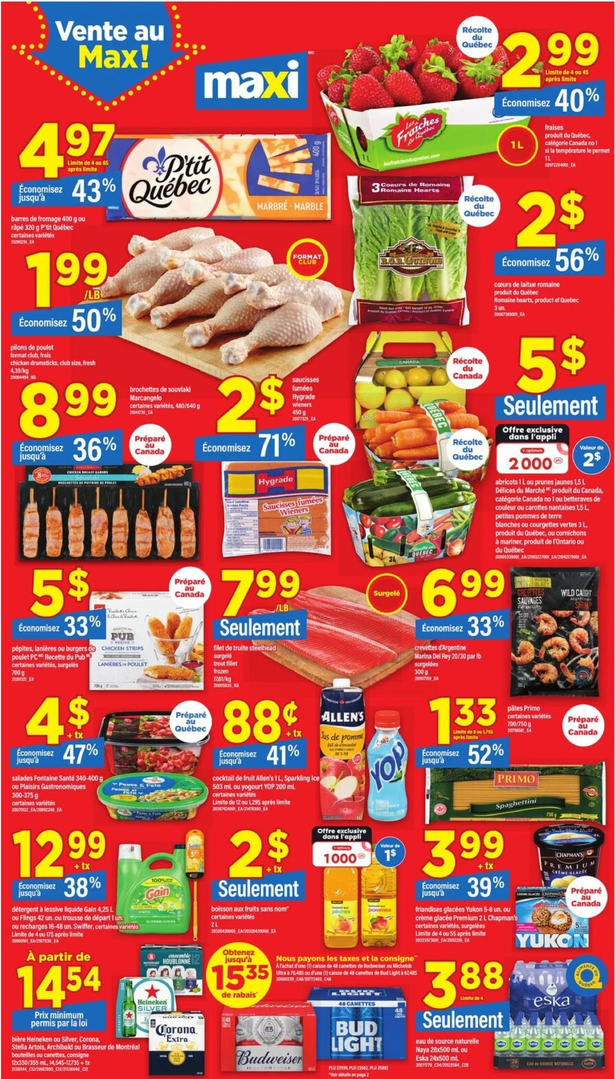 Maxi Flyer